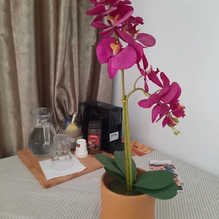 Pedacinho Do Ceu * Ponta Delgada